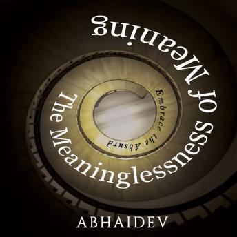 The Meaninglessness of Meaning