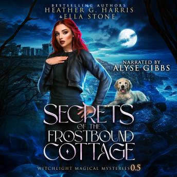 Secrets of the Frostbound Cottage: An Urban Fantasy Story
