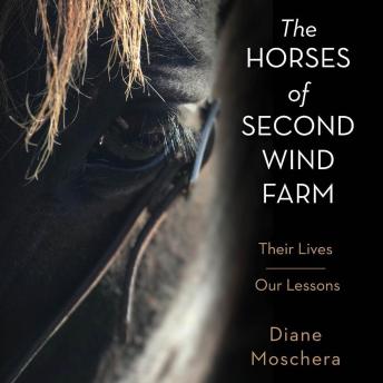 The Horses of Second Wind Farm: Their Lives - Our Lessons