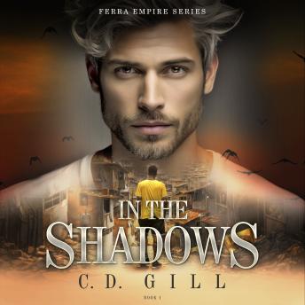 In the Shadows: Rag-to-Riches Clean Suspense