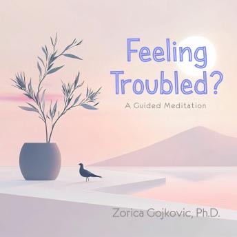Feeling Troubled?: A Guided Meditation