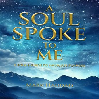 A Soul Spoke to Me: A Soul's Guide to Navigate Purpose