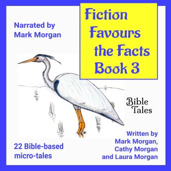 Fiction Favours the Facts – Book 3: Yet another 22 Bible-based micro-tales