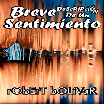 [Spanish] - Breve Descripción De Un Sentimiento