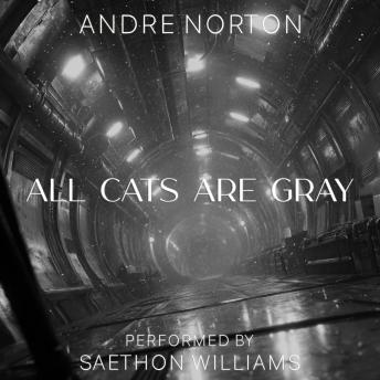 All Cats Are Gray