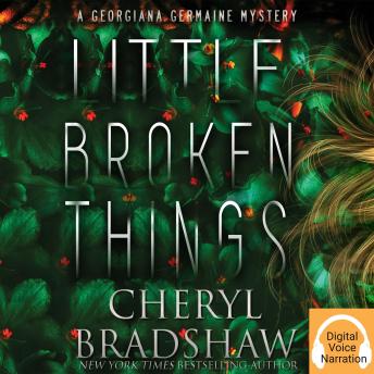 Little Broken Things