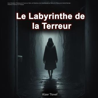 [French] - Le Labyrinthe de la Terreur: Une Collection d'Histoires de Tueurs en Série, de Mystères et de Cauchemars qui Mettront à l'Épreuve ta Sanité Mentale :  Histoires d'Horreur en Français.