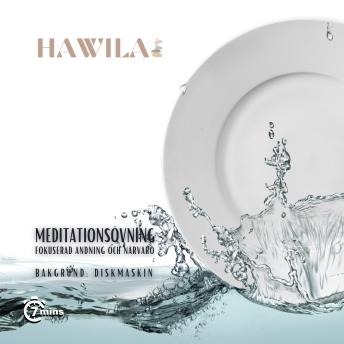 [Swedish] - Meditationsövning - Diskmaskin