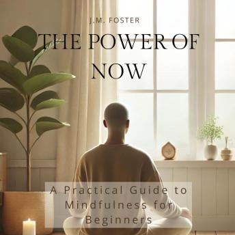 The Power of Now: A Practical Guide to Mindfulness for Beginners