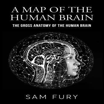A Map of the Human Brain: The Gross Anatomy of the Human Brain