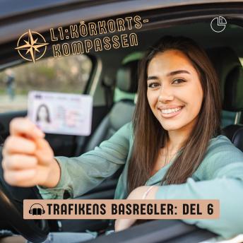 [Swedish] - Trafikens basregler - Del 6: Körkortskompassen