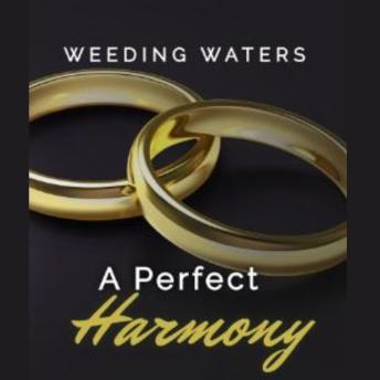 A Perfect Harmony
