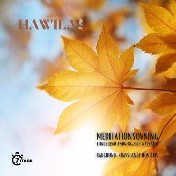 [Swedish] - Meditationsövning - Prasslande höstlöv