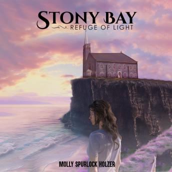 Stony Bay: A novel by  Molly Spurlock Holzer