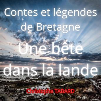 [French] - Une bête dans la lande: Contes et légendes de Bretagne