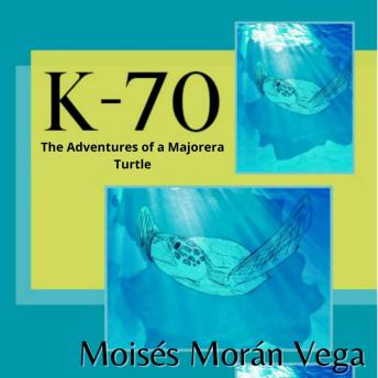K-70: The Adventures of a Majorera Turtle