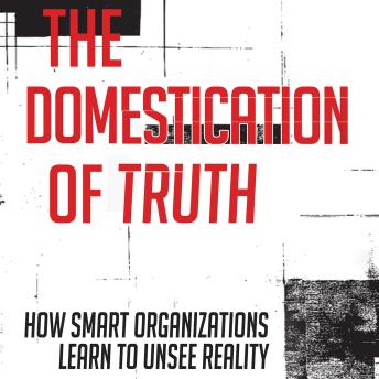 The Domestication of Truth: How Smart Organizations Learn to Unsee Reality
