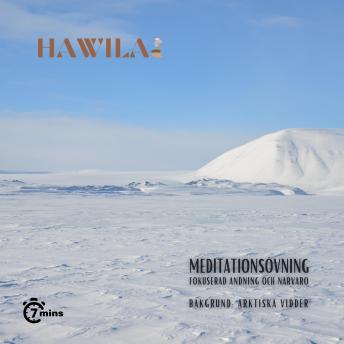 [Swedish] - Meditationsövning - Arktiska vidder