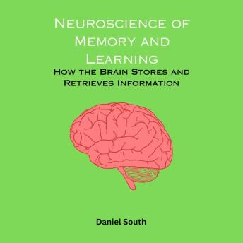 Neuroscience of Memory and Learning: How the Brain Stores and Retrieves Information
