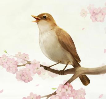 Bedtime Stories - Hans Christian Andersen - The Nightingale