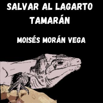 [Spanish] - Salvar al lagarto Tamarán