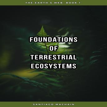 Foundations of Terrestrial Ecosystems