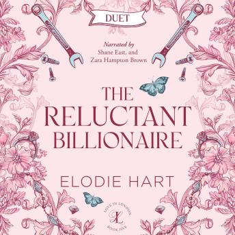 The Reluctant Billionaire: A grumpy sunshine romance