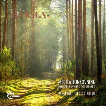 [Swedish] - Meditationsövning - I skogsgläntan