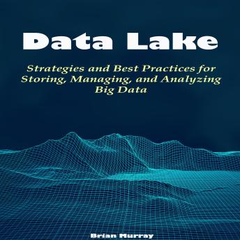 Data Lake: Strategies and Best Practices for Storing, Managing, and Analyzing Big Data