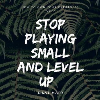Stop Playing Small and Level Up: How to Own Your Greatness Today