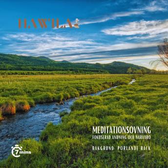[Swedish] - Meditationsövning - Porlande bäck