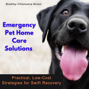 Emergency Pet Home Care Solutions: Practical, Low-Cost Strategies for Swift Recovery
