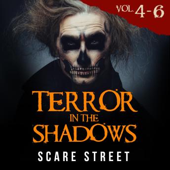 Short Horror Stories: Terror in the Shadows Volumes 4 - 6: Scary Ghosts, Paranormal & Supernatural Monsters