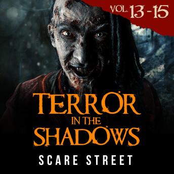 Short Horror Stories: Terror in the Shadows Volumes 13 - 15: Scary Ghosts, Paranormal & Supernatural Monsters