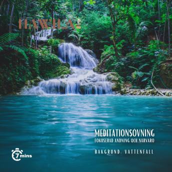 [Swedish] - Meditationsövning - Vattenfall