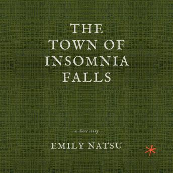 The Town of Insomnia Falls