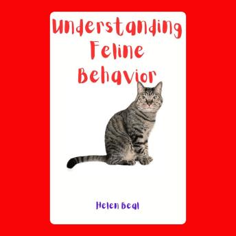 Understanding Feline Behavior