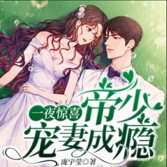 [Chinese] - 一夜惊喜，帝少宠妻成瘾|闪婚|豪门婚恋: 傲娇帝少宠妻无度，一夜惊喜开启甜蜜爱恋！