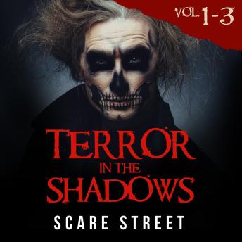Short Horror Stories: Terror in the Shadows Volumes 1 - 3: Scary Ghosts, Paranormal & Supernatural Monsters