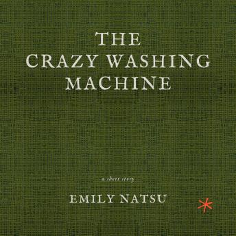 The Crazy Washing Machine