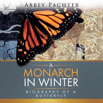 A Monarch in Winter: Biography of a Butterfly
