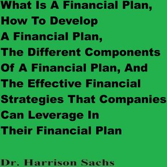 What Is A Financial Plan, How To Develop A Financial Plan, The Different Components Of A Financial Plan, And The Effective Financial Strategies That Companies Can Leverage In Their Financial Plan