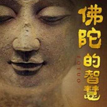 [Chinese] - 佛陀的智慧: 《佛陀的智慧》，解锁生命真谛，开启心灵觉醒之旅！