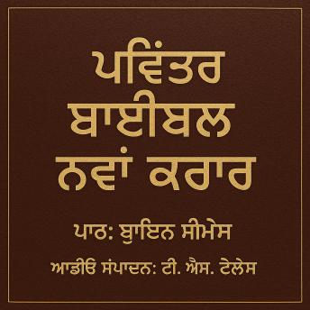[Panjabi] - ਪਵਿੱਤਰ ਬਾਈਬਲ – ਨਵਾਂ ਕਰਾਰ