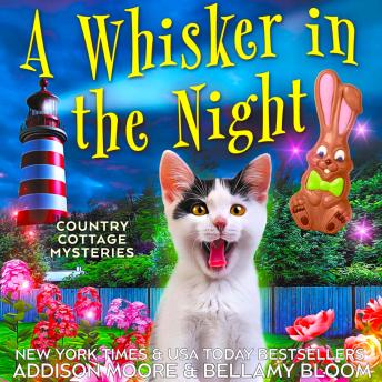 A Whisker in the Night