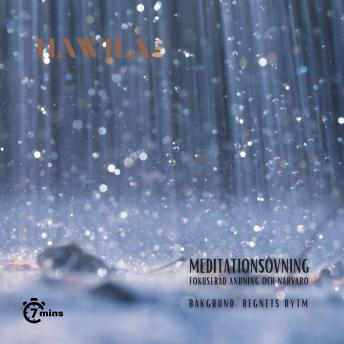 [Swedish] - Meditationsövning - Regnets rytm