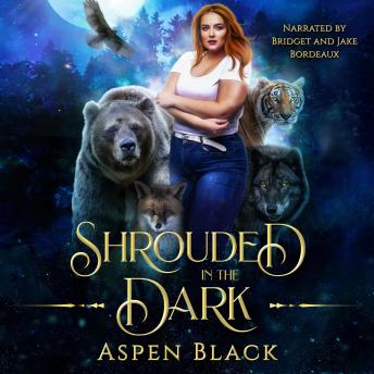Shrouded in the Dark