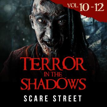 Short Horror Stories: Terror in the Shadows Volumes 10 - 12: Scary Ghosts, Paranormal & Supernatural Monsters