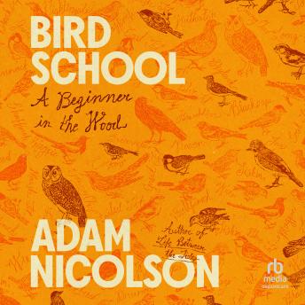 Bird School: A Beginner in the Wood