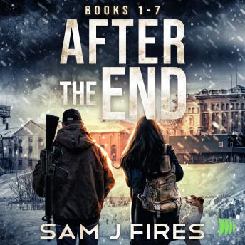After the End Series: (Books 1-7): A Gripping Post-Apocalyptic EMP Survival Thriller